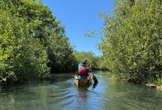 Learn to Paddle Your Willamette Water Trail: Paddling 101