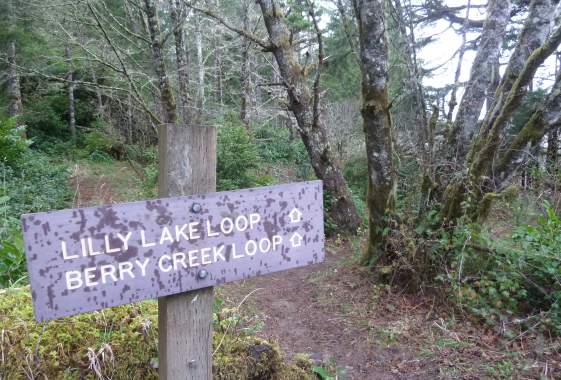 Lily Lake Trail #1397