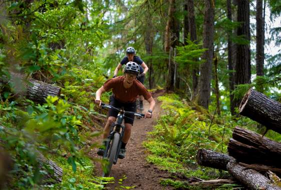 Cog Wild Bicycle Tours