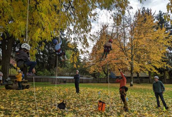 Tree Climbing Eugene