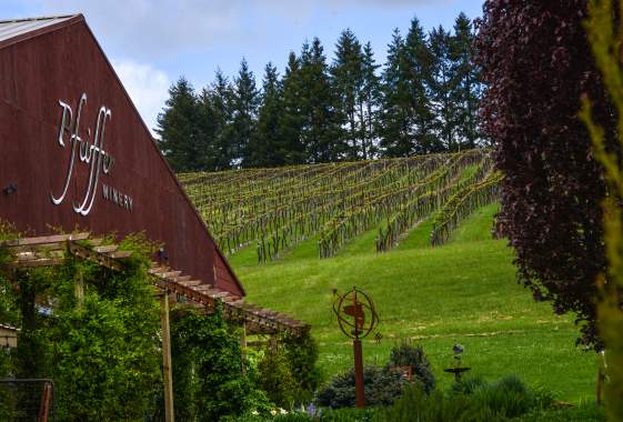A Villa Evening: Dinner at Pfeiffer Winery