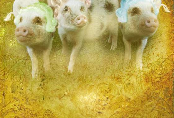 UO Opera Ensemble: Pigs in Wigs!