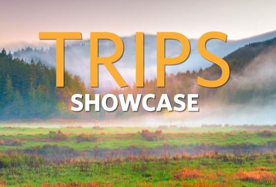Trips Showcase