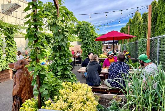 Viking Brewing Company