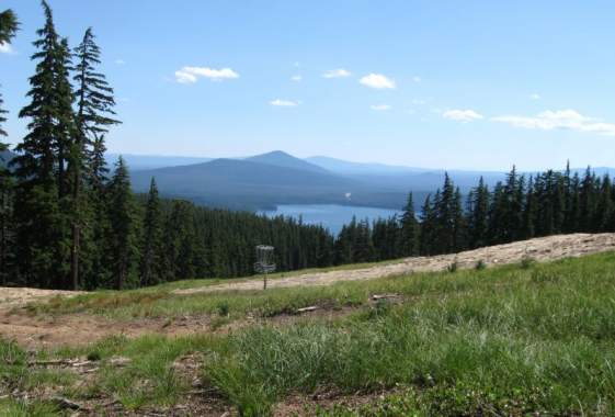 Willamette Pass Alpine Disc Golf Course