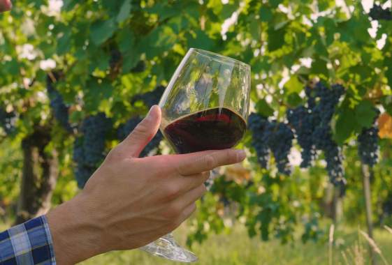 Inner Limits Duo at Bennett Vineyards