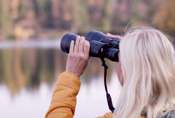Birding Walk at Campbell Community Center