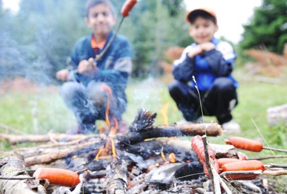 Living with Fire Film Festival