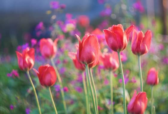 Line Dancing with Jan at Applegate Theatre