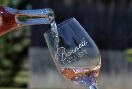 Joanne Broh Band at Bennett Vineyards