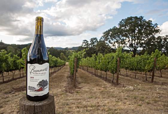 The BrewKats Live at Bennett Vineyards
