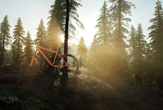 Adult Intro to Mountain Biking