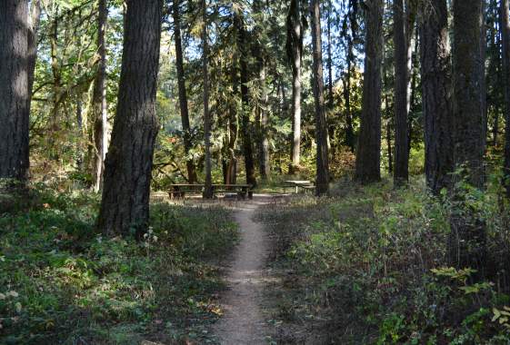 Blue Mountain County Park