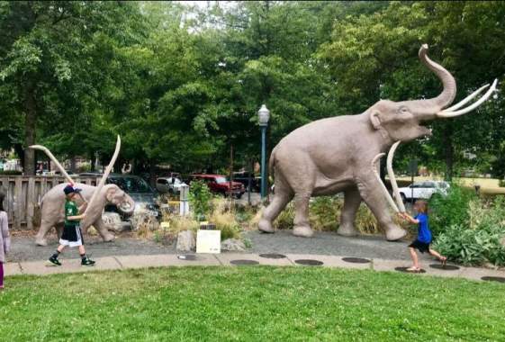 Family Fun in the Sun: Join the Wolf Pack