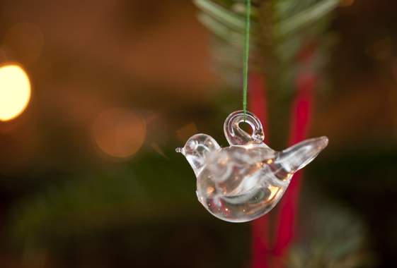 Somethin' Special for Christmas