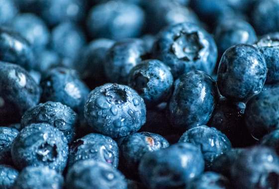 Adkins Farm Blueberry Festival Blues and Brews