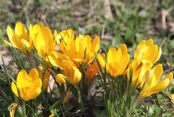 Adaptive Sports Sampler at Hilyard Community Center