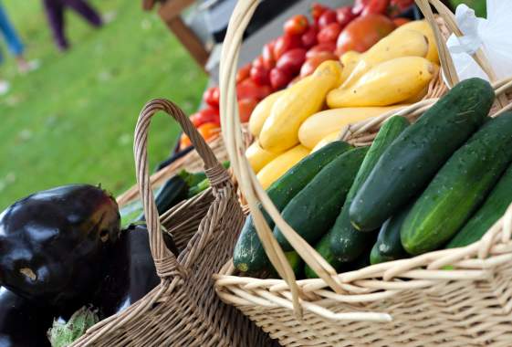 Lane County Farmers Market - Springfield