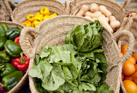 Cooking Contest at Lane County Farmers Market