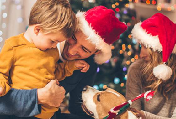 Pet Photos with Santa at Valley River Center