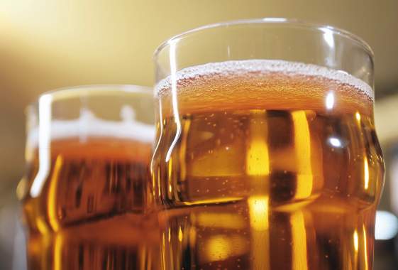 Thursday Tasting with Gratitude Brewing