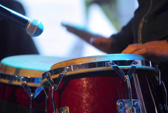 Bongolatte Live Jazz at Drop Bear Brewery
