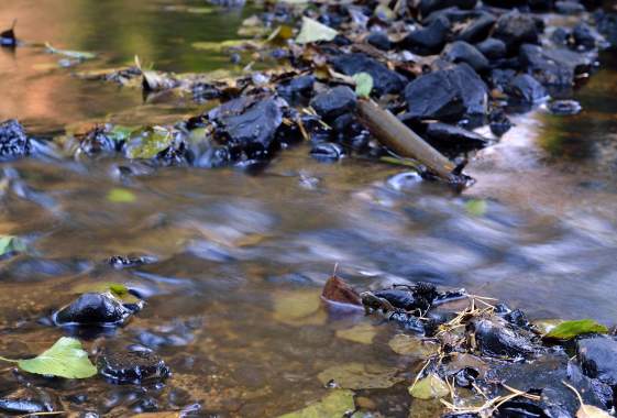 Science on Tap! at the Axe and Fiddle