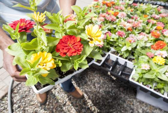 Parent-Daughter Planting Party