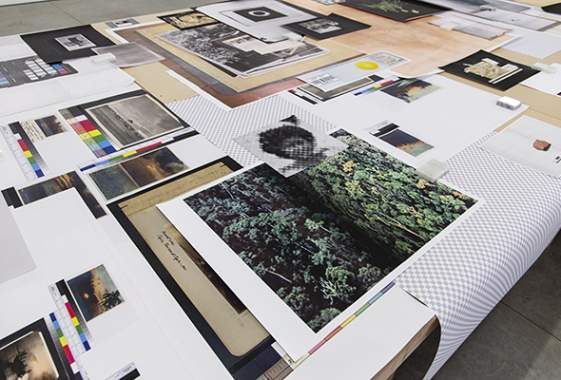 Center for Art Research Exhibition: "The Whisperers"