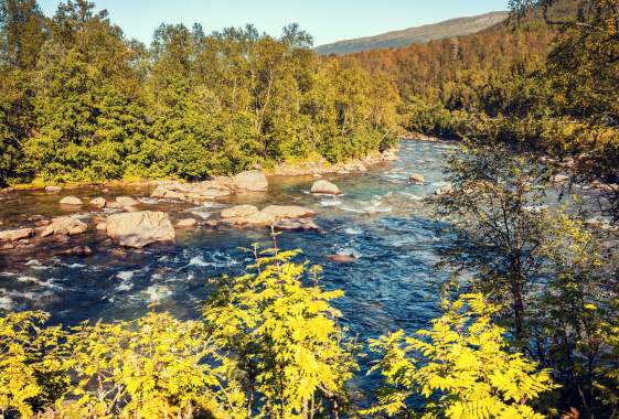 Conservation Rafting Trip to Finn Rock
