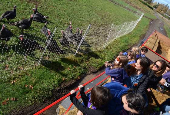 Harvest Days & Corn Maze