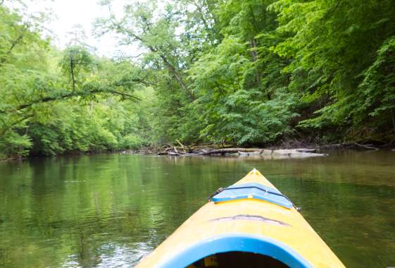 Adaptive Watercraft Day at Alton Baker Canal