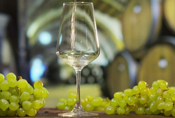 The Leafy Greens Band Live at the Vineyard