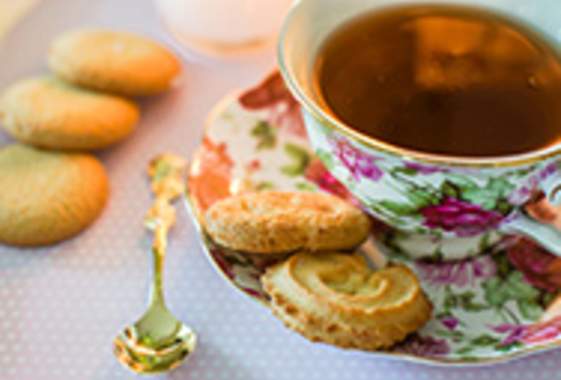 June Tea at Shelton McMurphey Johnson House