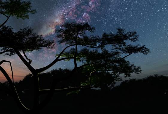 One World, One Sky: Big Bird's Adventure Planetarium Show