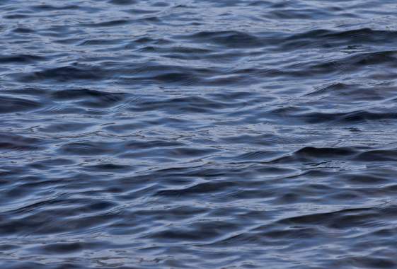 Willamette River Trashy Tuesday On-Water Cleanup