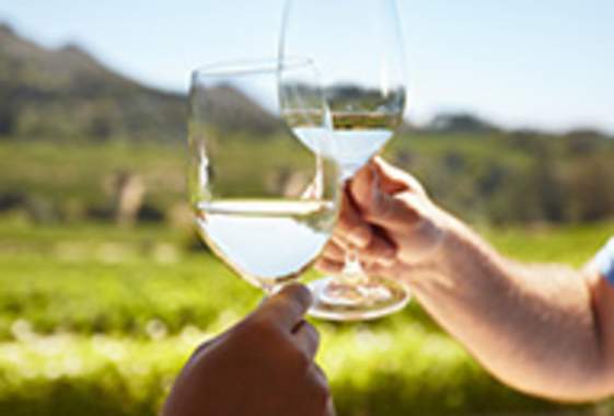 Memorial Day Weekend Live Music at Hayworth Estate Wines
