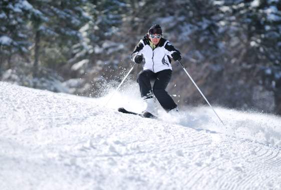 Berg's Ski Bus to Willamette Pass