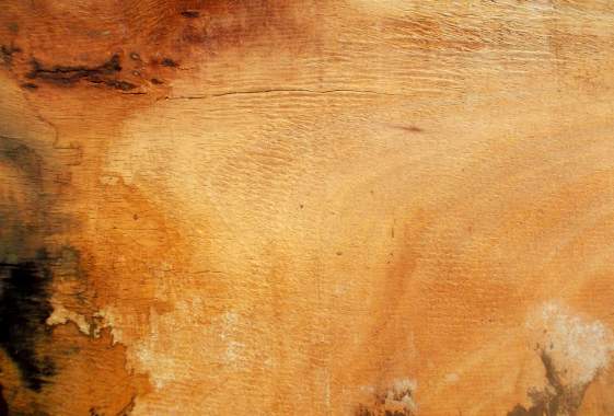 “Creating From Our Environment” Art Exhibit at New Zone Gallery