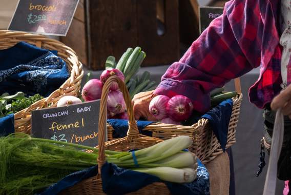 Local Farms & Markets