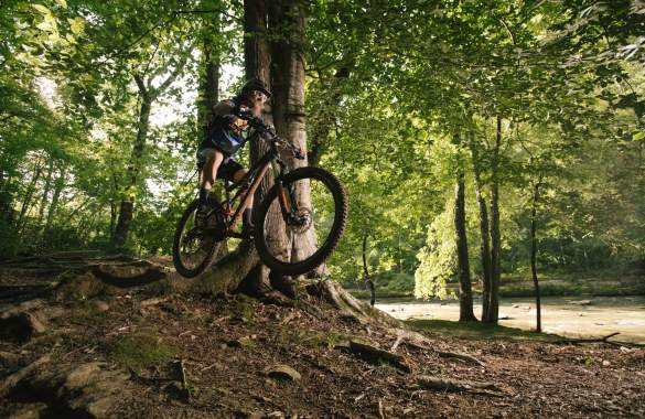 Biking Around Spartanburg