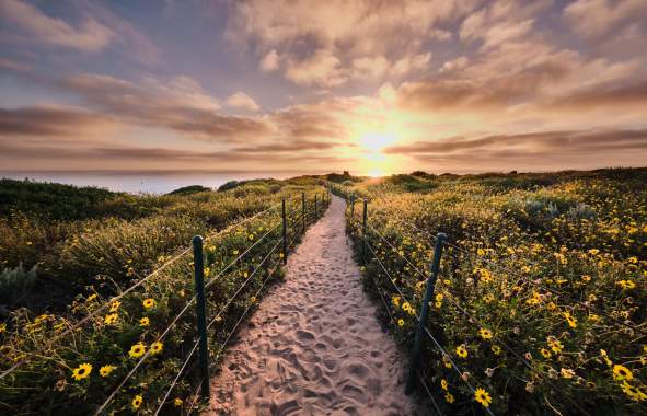 Dana Point Headlands Trail Sunset