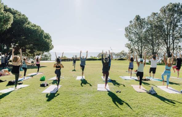 Wellness Yoga Outdoor Sports