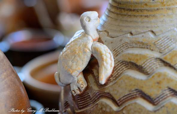 Turtle Detail