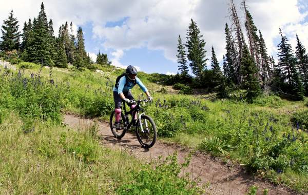 Brian Head Mountain Biking