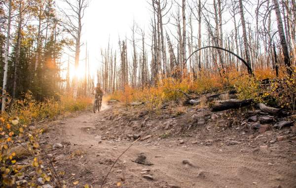 Biking - Late Fall, Bunker Creek Trail