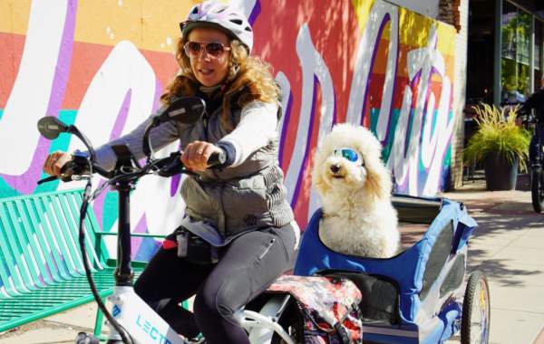 Woman and white fluffy dog cycling through downtown Cedar City in front of the Cedar City Mural. Both are geared up with goggles (and a helmet) and the pup is riding in style in a cart behind the bike.