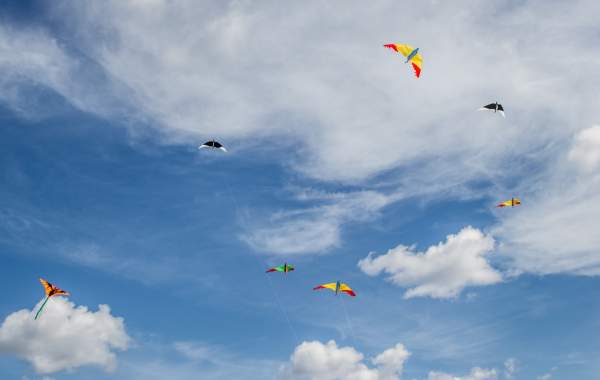 Kite Festival