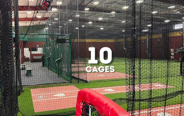 D-BAT Cedar City