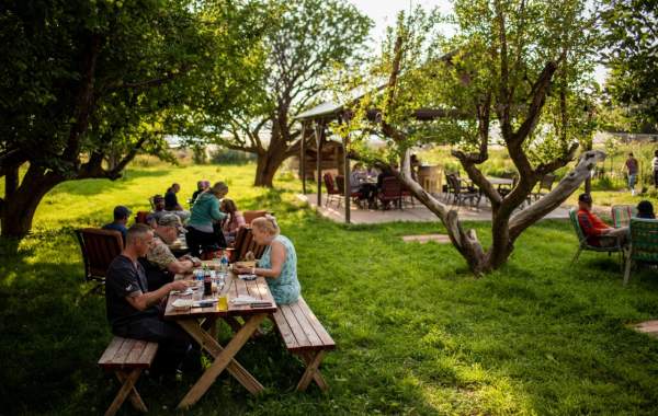 SP: Taco Night on the Farm